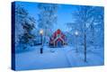 Stretched Canvas Print
