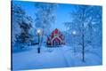 Stretched Canvas Print