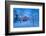 Cold Winter with Temperatures Going to -47 Celsius. Lapland, Sweden-null-Framed Photographic Print