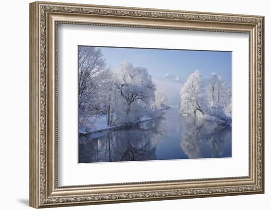 coldest morning-Norbert Maier-Framed Photographic Print