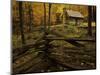 Cole Cabin, Great Smoky Mountains National Park, Tennessee, USA-Jerry Ginsberg-Mounted Photographic Print