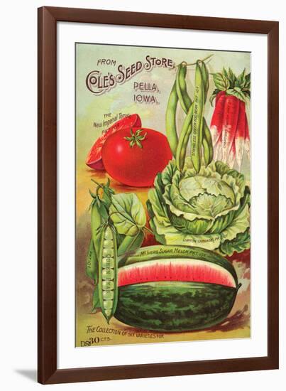 Cole's Seed Store Pella Iowa-null-Framed Premium Giclee Print