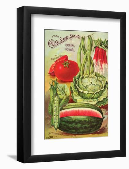 Cole's Seed Store Pella Iowa-null-Framed Art Print