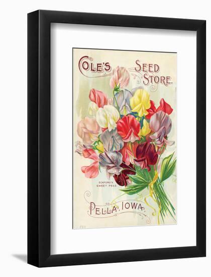 Cole's Seed Store Pella Iowa-null-Framed Art Print