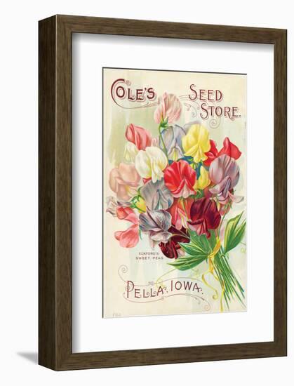 Cole's Seed Store Pella Iowa-null-Framed Art Print