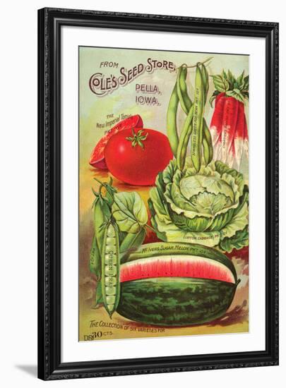 Cole's Seed Store Pella Iowa-null-Framed Art Print