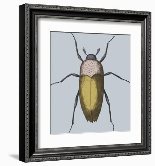 Coleoptera-Maria Mendez-Framed Giclee Print