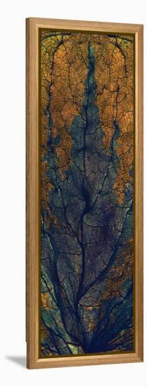 Coleus Window-Julia McLemore-Framed Stretched Canvas
