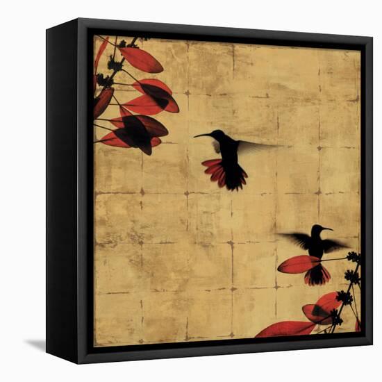 Colibri I-Chris Donovan-Framed Stretched Canvas