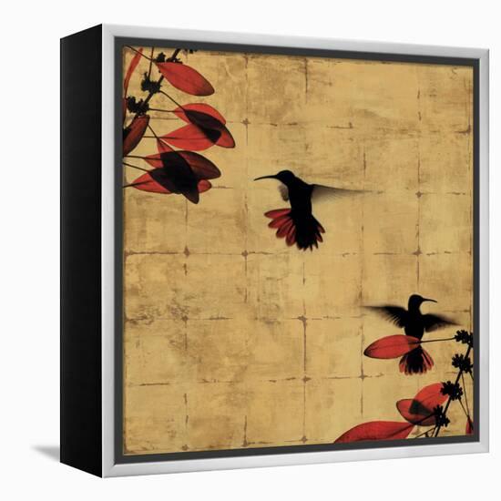 Colibri I-Chris Donovan-Framed Stretched Canvas