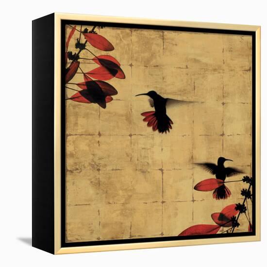 Colibri I-Chris Donovan-Framed Stretched Canvas