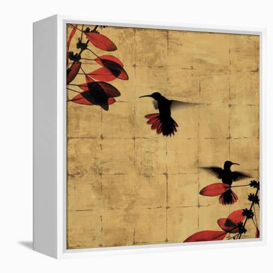 Colibri I-Chris Donovan-Framed Stretched Canvas