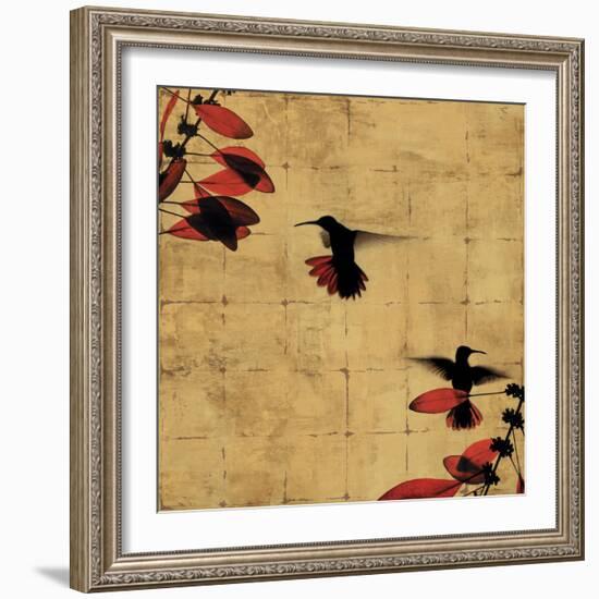 Colibri I-Chris Donovan-Framed Art Print