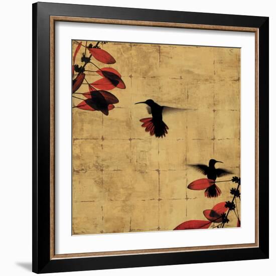 Colibri I-Chris Donovan-Framed Art Print