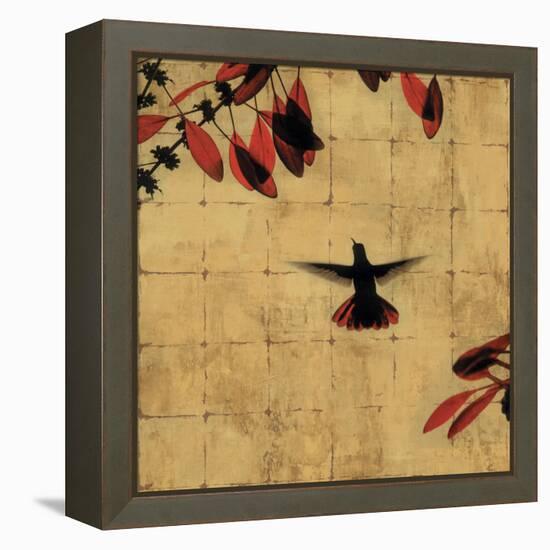 Colibri II-Chris Donovan-Framed Stretched Canvas