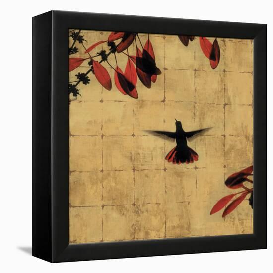 Colibri II-Chris Donovan-Framed Stretched Canvas