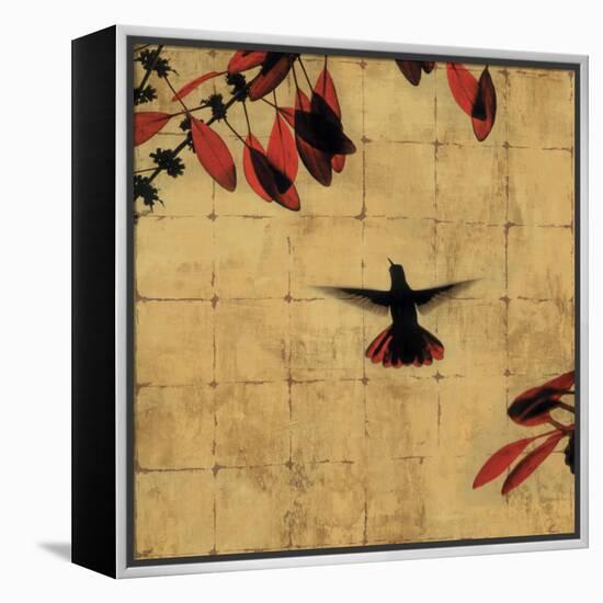 Colibri II-Chris Donovan-Framed Stretched Canvas