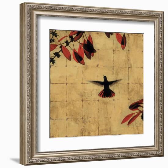 Colibri II-Chris Donovan-Framed Art Print