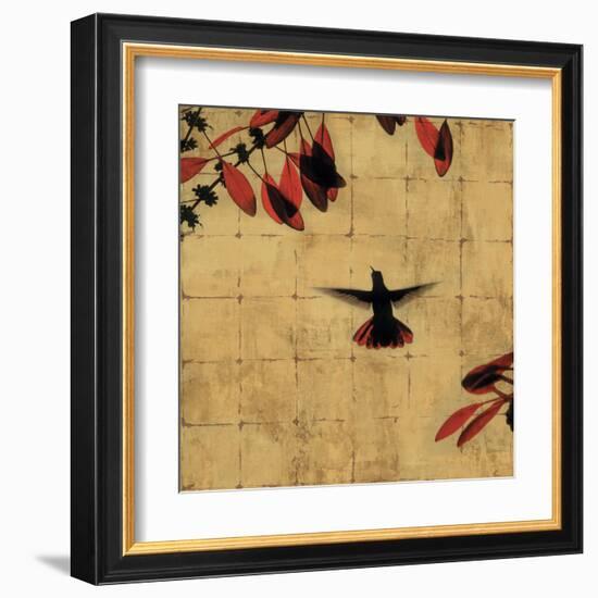 Colibri II-Chris Donovan-Framed Art Print