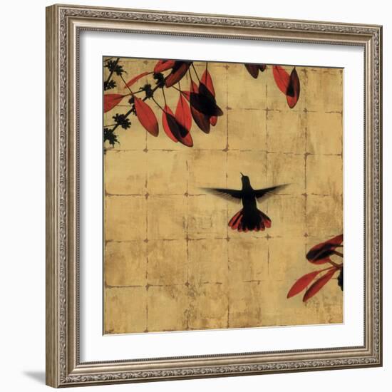 Colibri II-Chris Donovan-Framed Art Print