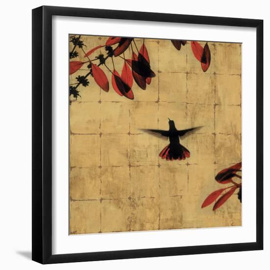 Colibri II-Chris Donovan-Framed Art Print