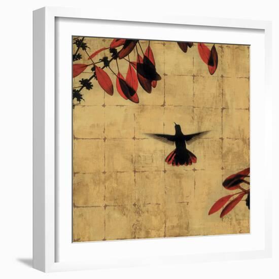 Colibri II-Chris Donovan-Framed Art Print