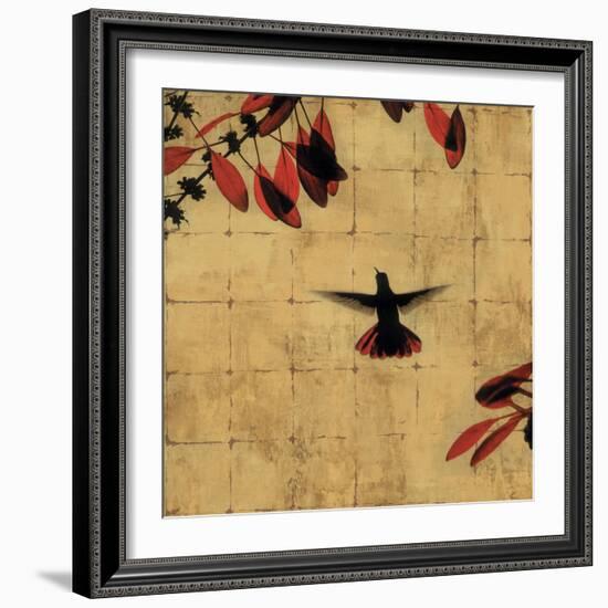 Colibri II-Chris Donovan-Framed Art Print