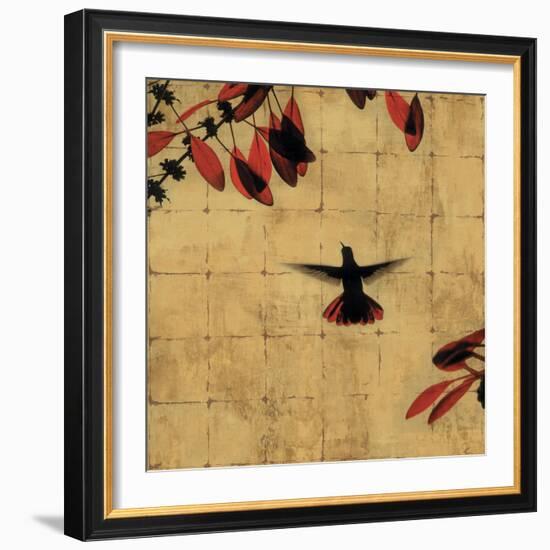 Colibri II-Chris Donovan-Framed Art Print