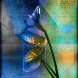 Calla Lilies and Colorful Patterns-Colin Anderson-Photographic Print
