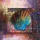 'Colorful Clam Shell and Geometry' Photographic Print - Colin Anderson ...