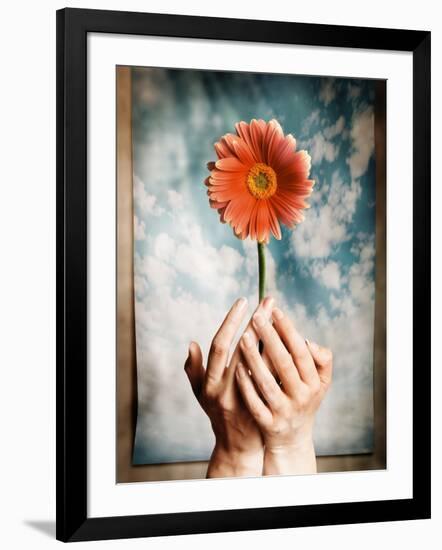 Photographic Print, , large