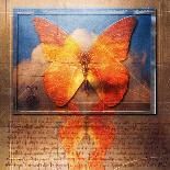 Overlaying Butterflies and Text-Colin Anderson-Photographic Print