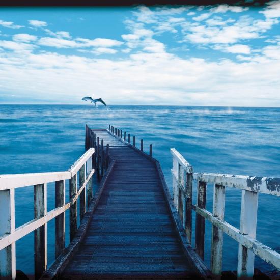 Photographic Print, , large