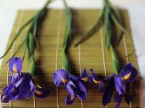 Purple Irises on a Bamboo Mat-Colin Anderson-Photographic Print
