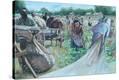 Stretched Canvas Print