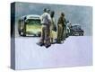 Stretched Canvas Print