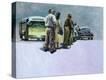 Stretched Canvas Print