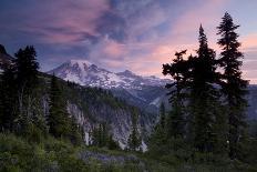 Landscape with Wild Flowers, Mount Rainier National Park, Washington State-Colin Brynn-Photographic Print