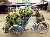 Man Transporting Bananas on Cyclo, Hue, Vietnam, Indochina, Southeast Asia, Asia-Colin Brynn-Photographic Print