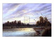 Casting for Trout-Colin Burns-Giclee Print