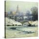 Stretched Canvas Print