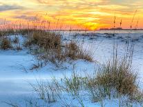 A Colorful Sunset over the Seaoats and Dunes on Fort Pickens Beach in the Gulf Islands National Sea-Colin D Young-Photographic Print