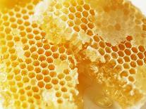 Open Jar of Honey-Colin Erricson-Framed Photographic Print