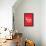 Colitas Red Annimo-null-Framed Stretched Canvas displayed on a wall