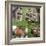 Collage Countryside Impressions with Label 'Home'-Andrea Haase-Framed Photographic Print