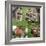 Collage Countryside Impressions with Label 'Home'-Andrea Haase-Framed Photographic Print