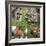 Collage Countryside Impressions with Label 'Home'-Andrea Haase-Framed Photographic Print