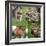 Collage Countryside Impressions with Label 'Home'-Andrea Haase-Framed Photographic Print