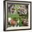 Collage Countryside Impressions with Label 'Home'-Andrea Haase-Framed Photographic Print