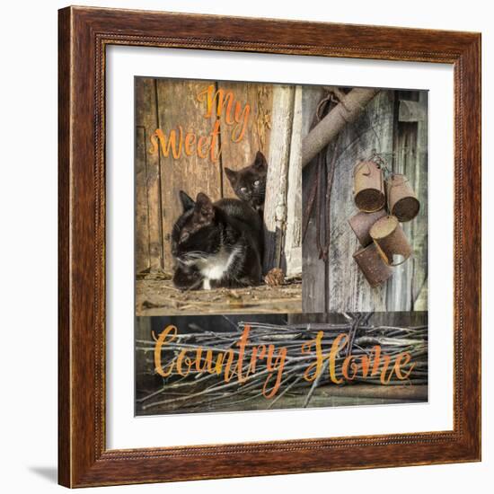 Collage, Countryside Impressions-Andrea Haase-Framed Photographic Print